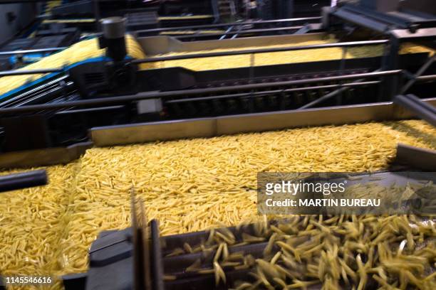 Picture shows the assembly line of French fries at the McCain French fries factory in Matougues on May 17, 2019.