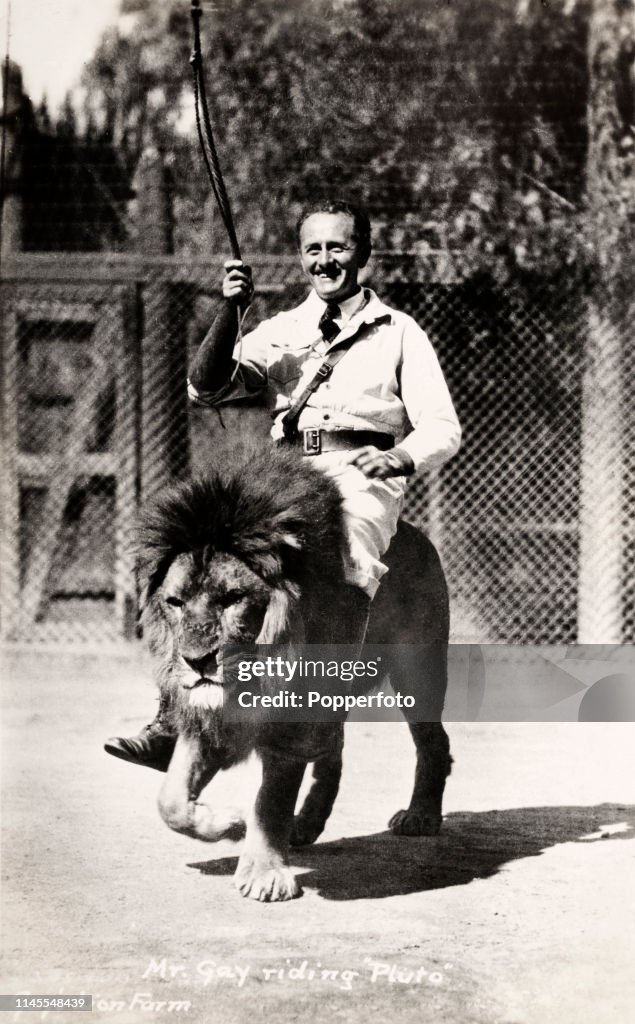 Charles Gay riding his lion named Monte at Gay's Lion Farm in El... News Photo - Getty Images Charles Gay riding his lion named Monte at Gay's Lion Farm in El... News Photo - Getty Images