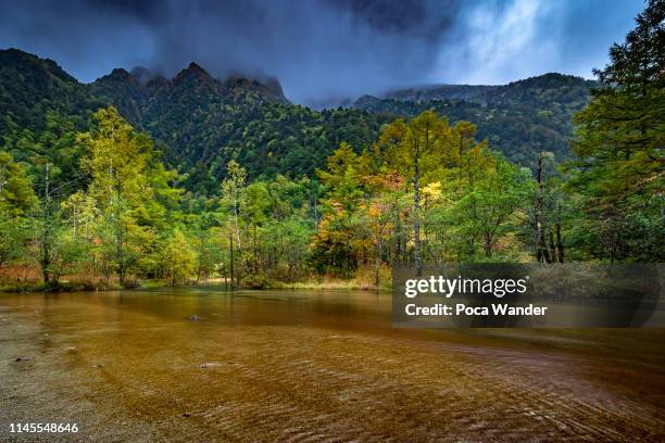 kamikochi forest national park in the japanese alps, japan - kamikochi national park stock pictures, royalty-free photos & images