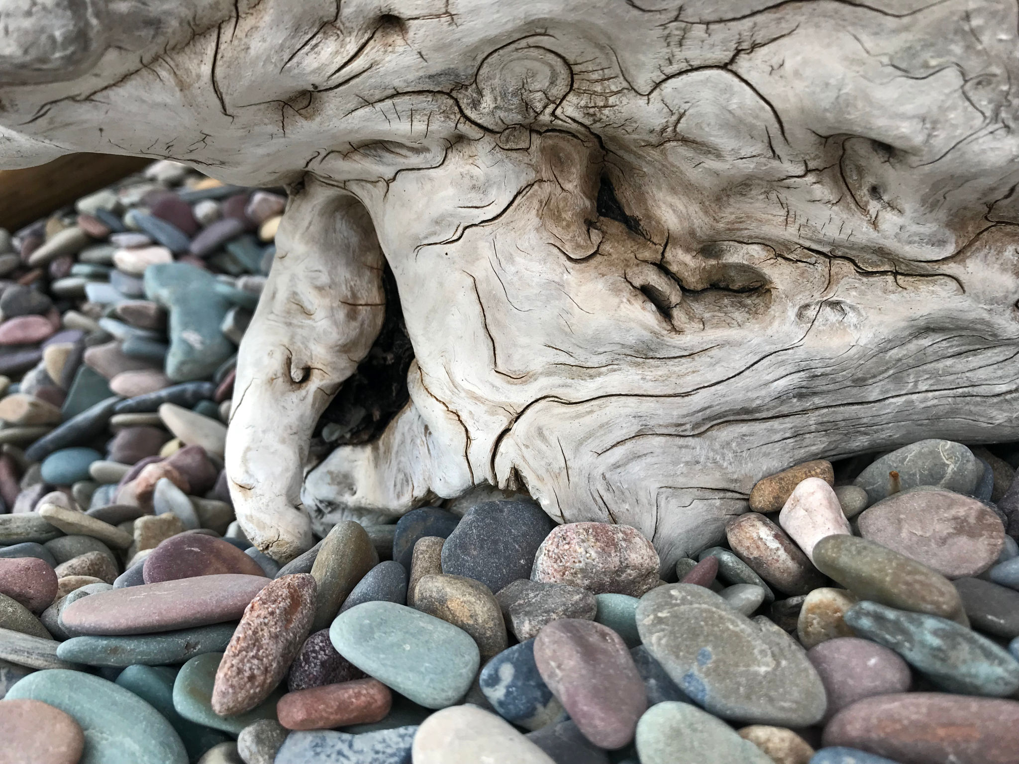 natural material sculpture