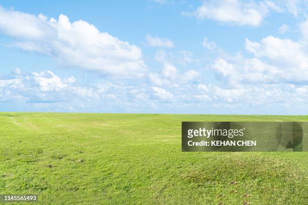1,566 Cartoon Grass Background Photos and Premium High Res Pictures - Getty  Images