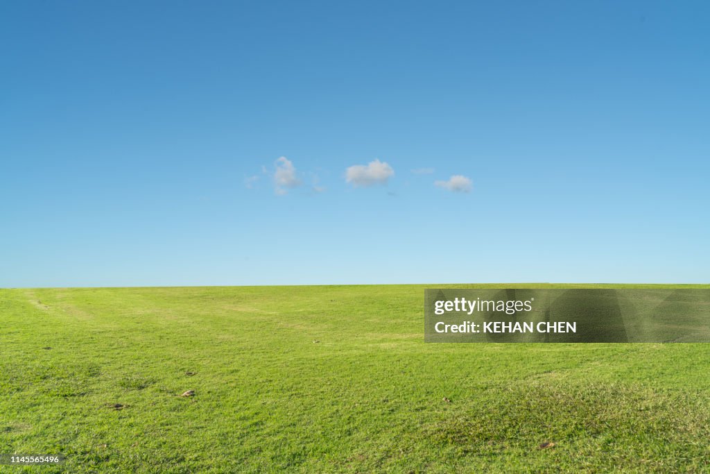 Grass background against sky