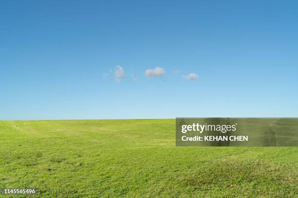 grass background against sky - clear sky stockfoto's en -beelden