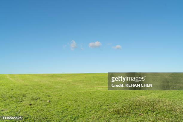 grass background against sky - 草原 個照片及圖片檔
