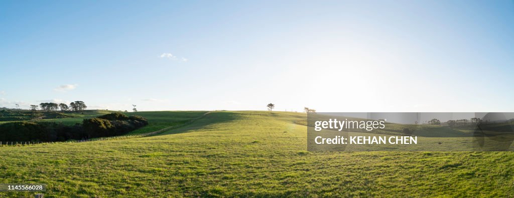 Grassland sky and grass background in a park