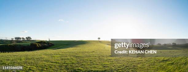 grassland sky and grass background in a park - colina fotografías e imágenes de stock