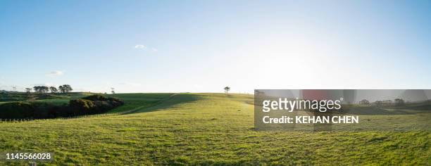 grassland sky and grass background in a park - hill stock pictures, royalty-free photos & images
