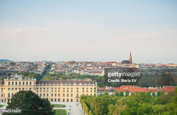 sunset in vienna, city skyline - palácio de schonbrunn imagens e fotografias de stock