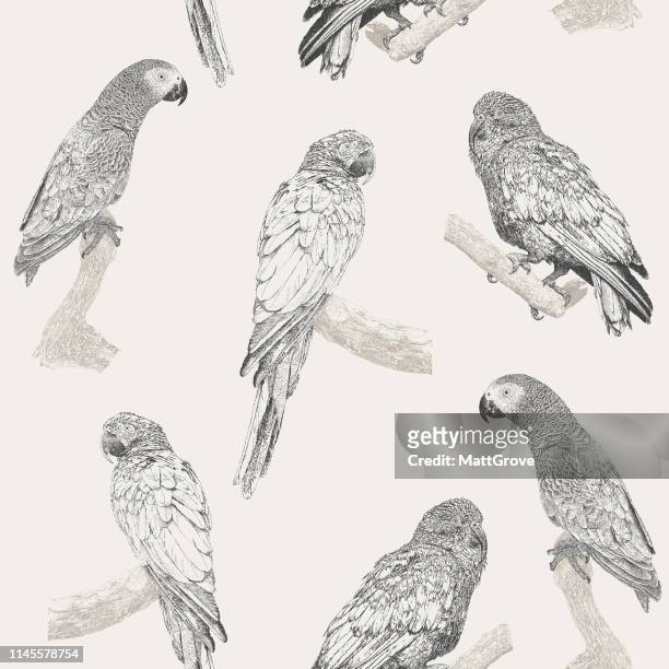 parrot seamless repeat pattern - tropical bird stock illustrations