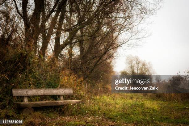 bench in rough walking area - overijssel fotografías e imágenes de stock
