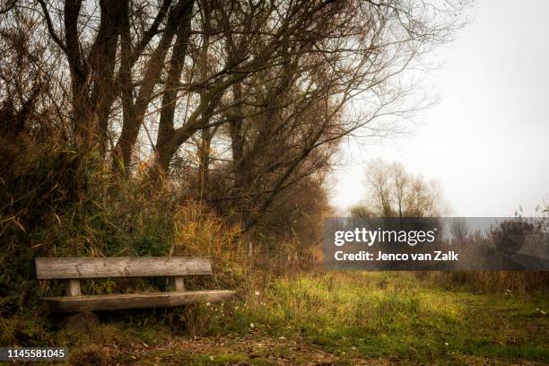 bench in rough walking area - overijssel stock pictures, royalty-free photos & images