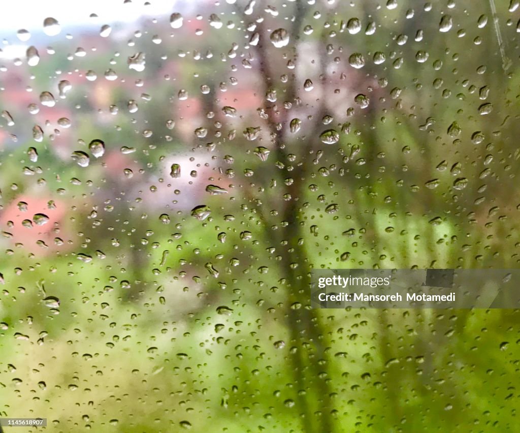 Rainy Day In Spring High-Res Stock Photo - Getty Images