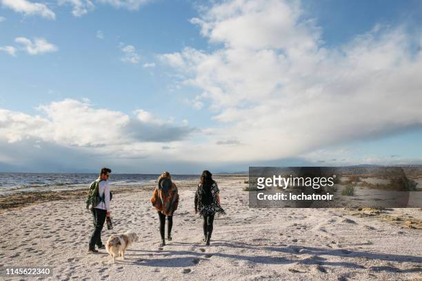 friends enjoying the walk by salton sea in california - coachella outfit stock pictures, royalty-free photos & images