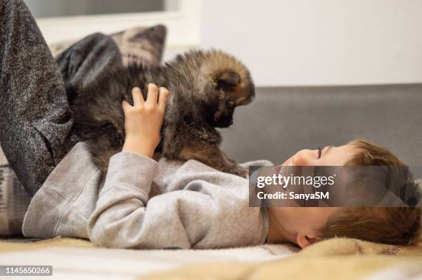 little boy playing with pomeranian puppy - dog potty training stock pictures, royalty-free photos & images