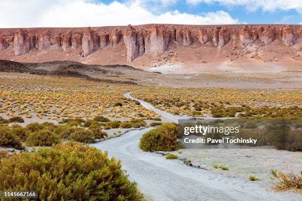 dirt track leading to the salar de tara salt flat, located 4,300m altitude in los flamencos national reserve at the atacama desert, chile, january 18, 2018 - antofagasta region stock-fotos und bilder