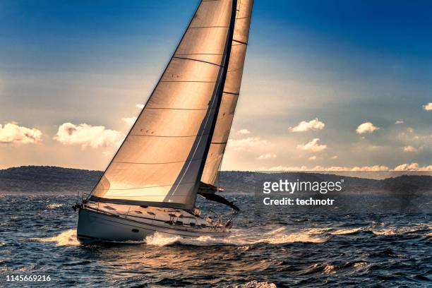 shot of sailing boat agains the sunlight - sail stock pictures, royalty-free photos & images