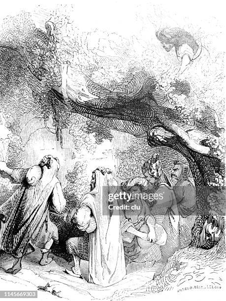 ali baba and the 40 robbers - one thousand and one nights stock illustrations