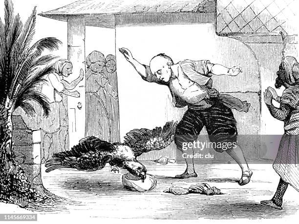 bird steals food from a bowl - half moon stock illustrations