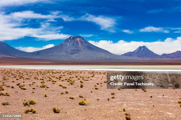 remotely located salar de aguas calientes at 3,950m in atacama desert, chile, january 19, 2018 - altiplano - fotografias e filmes do acervo