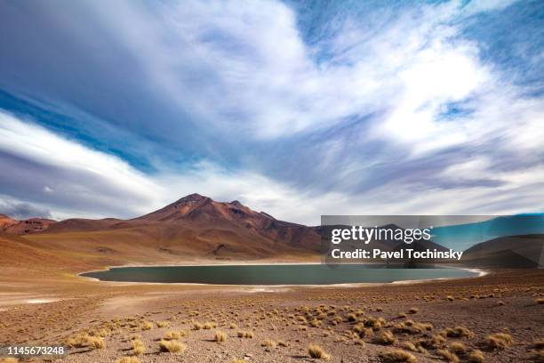 laguna miñiques located in atacama desert at 4,140m altitude, chile, january 19, 2018 - étendue sauvage scène non urbaine photos et images de collection