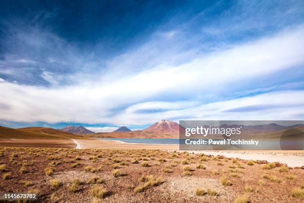 laguna miscanti located in atacama desert at 4,140m altitude, chile, january 19, 2018 - antofagasta fotografías e imágenes de stock
