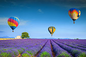 Admirable violet lavender fields and colorful hot air balloons, France