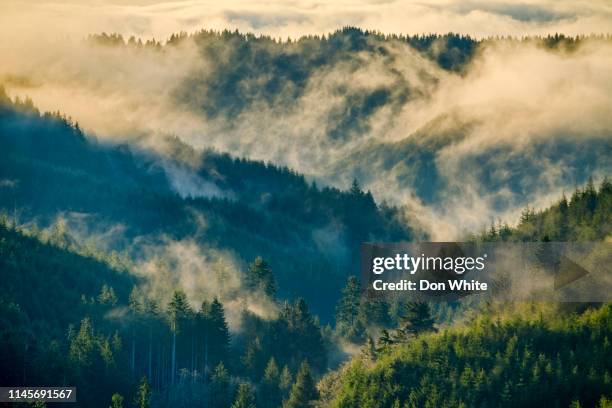 oregon coastal region of the united states - costa de oregon imagens e fotografias de stock