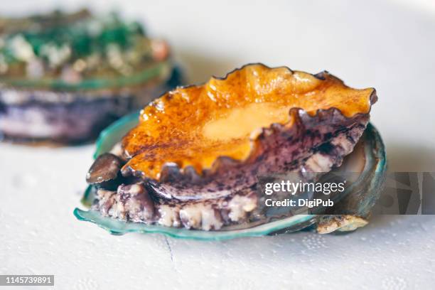living abalone - abalone stock pictures, royalty-free photos & images