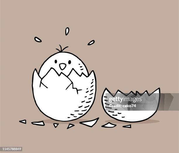 handgezogenes küken in eierschalen - hatching stock-grafiken, -clipart, -cartoons und -symbole