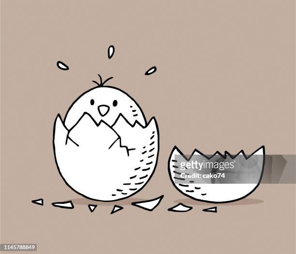 illustrazioni stock, clip art, cartoni animati e icone di tendenza di pulcino disegnato a mano in gusci d'uovo - hatching
