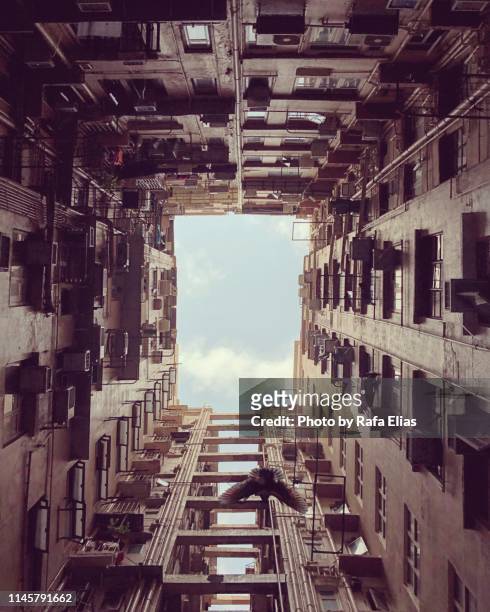 apartment building patio low angle, flying pigeon - hong kong residential building stock pictures, royalty-free photos & images