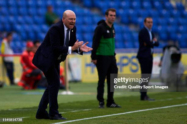 Pepe Mel, head coach of Las Palmas reacts during the La Liga123 match between Las Palmas and Lugo at Estadio de Gran Canaria on April 28, 2019 in Las...