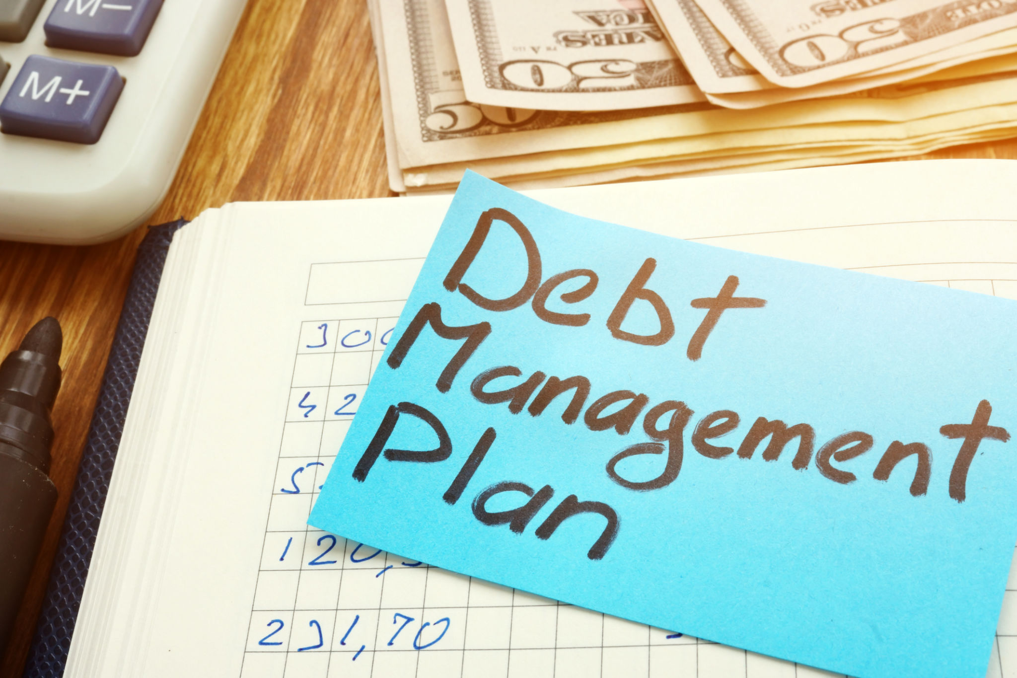 debt management plan