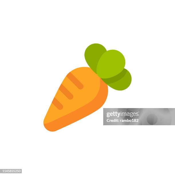 carrot flat icon. pixel perfect. for mobile and web. - carrot stock illustrations