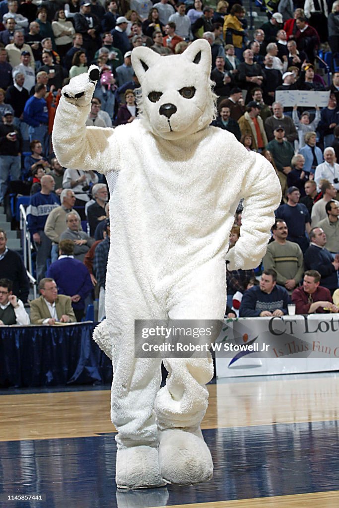 UConn Husky Mascot Patrols The Basketball Court