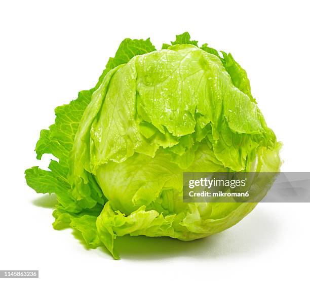 iceberg lettuce - salat stock-fotos und bilder