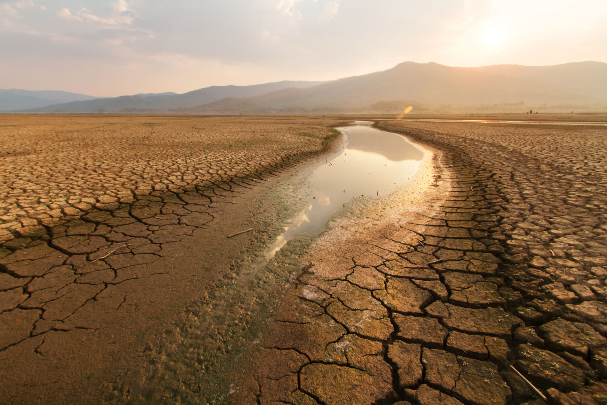 ethiopian landscape