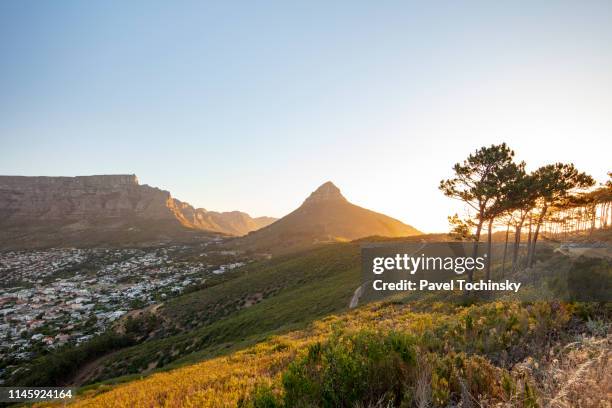 signal hill - signal hill cape town stock pictures, royalty-free photos & images