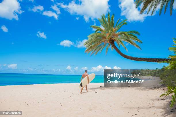 surfer walking on the beach - waimea bay hawaii stock pictures, royalty-free photos & images