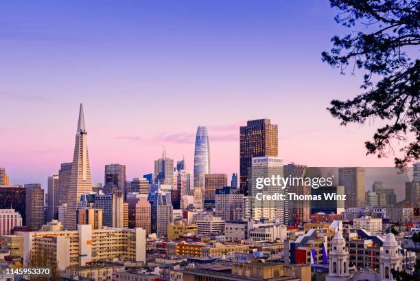 s. f. skyline at dusk - サンフランシスコベイエリア ストックフォトと画像