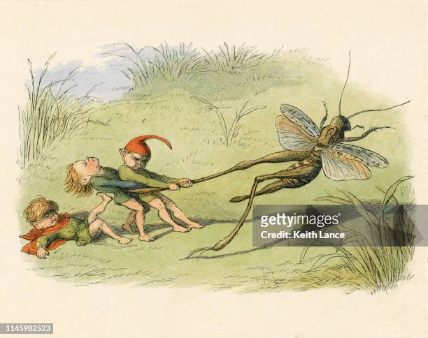 fantasy illustration of three cruel elves - cricket bug stock illustrations