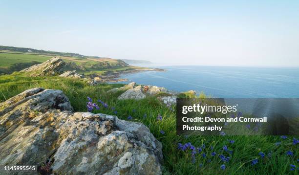 Devon Spring Time Devon Spring Photos and Premium High Res Pictures - Getty Images