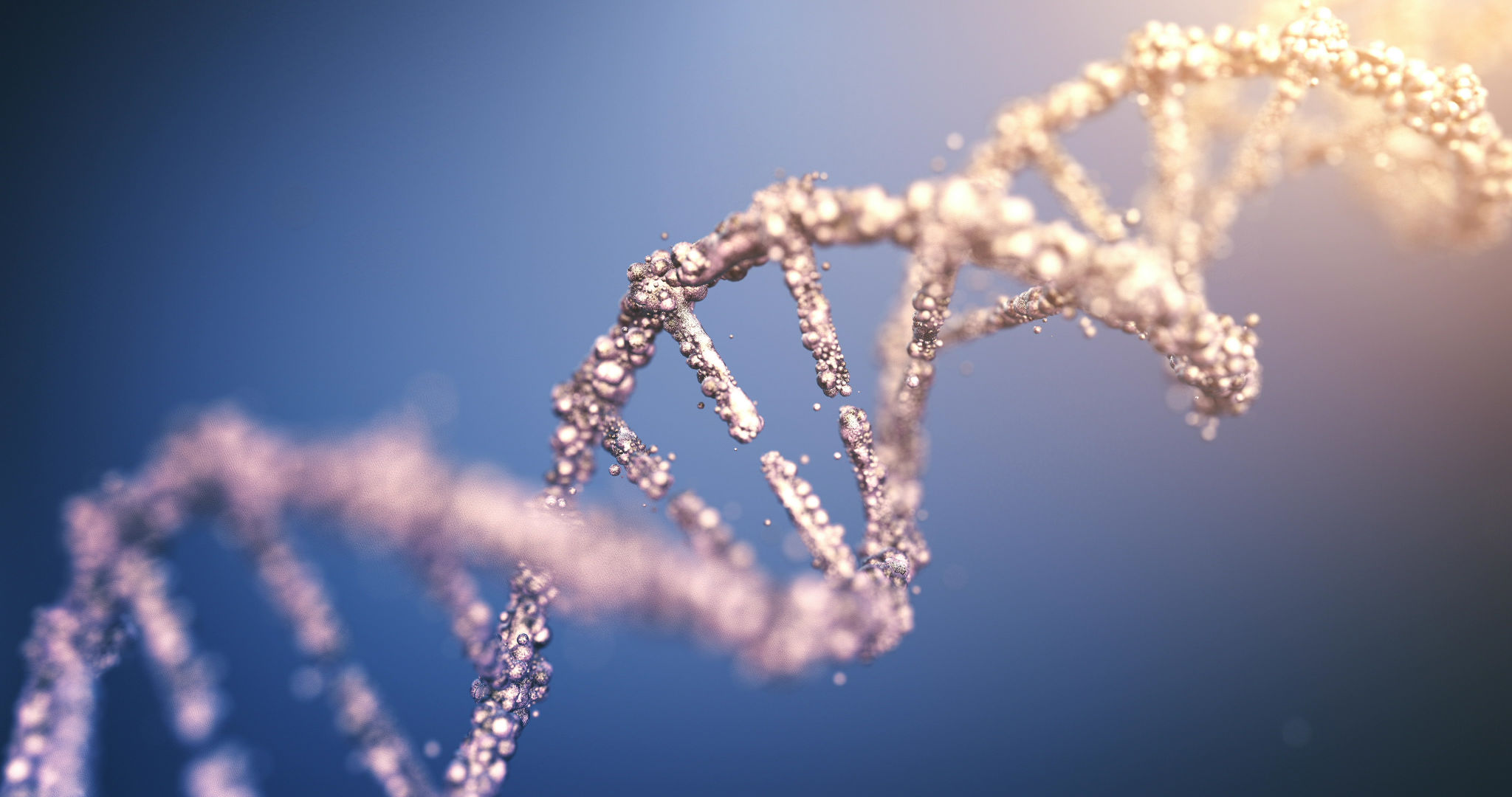 ancestry dna test