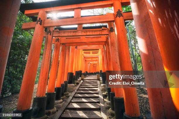 torii gates in fushimi inari shrine, kyoto, japan - torii gate stock pictures, royalty-free photos & images