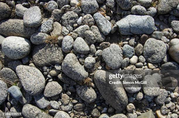 pebbles in a dry riverbed - clutter stock pictures, royalty-free photos & images