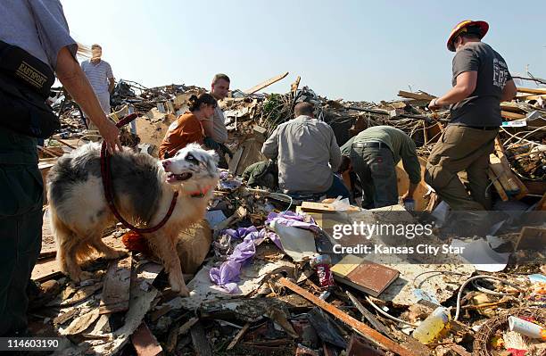 The hopes of a search and rescue team were raised when "Fire," a search and rescue dog, signals a human scent by lying down in a pile of rubble on...