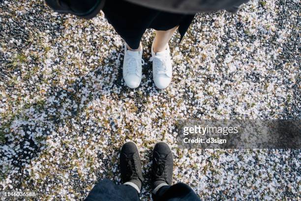 subject view of the low section of a loving couple on gravel path with fallen cherry blossom petals - feet selfie woman stockfoto's en -beelden