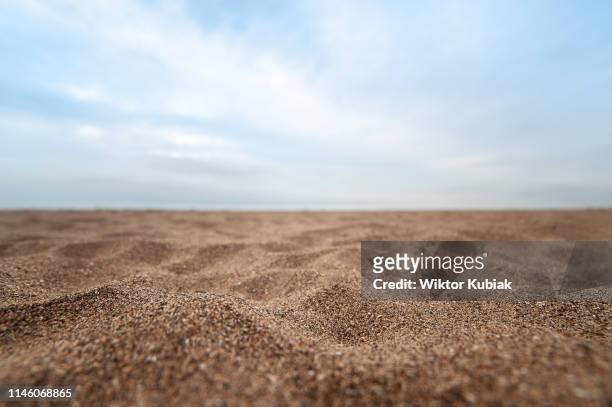 sand on the beach - focus on foreground stockfoto's en -beelden