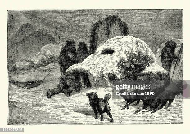 eskimo iglu-schneeelengehege, 19. jahrhundert. robbenjäger und hund - malamute stock-grafiken, -clipart, -cartoons und -symbole