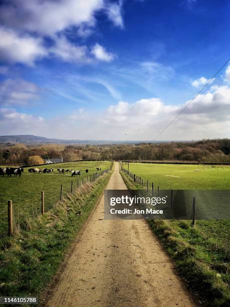 springtime gravel track perspective through farmland - surrey engeland stockfoto's en -beelden